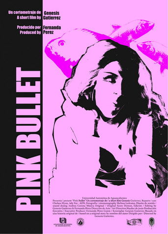 Poster for Pink Bullet