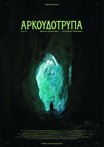 Poster for Bearcave