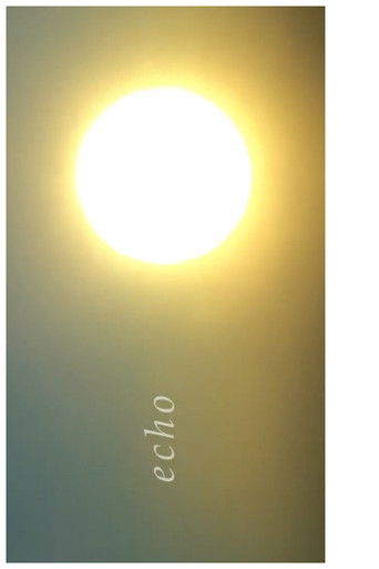 Poster for echo