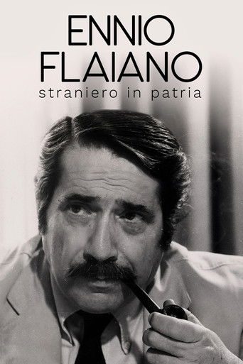 Poster for Ennio Flaiano, straniero in patria