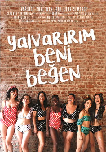 Poster for I Beg You to Like Me