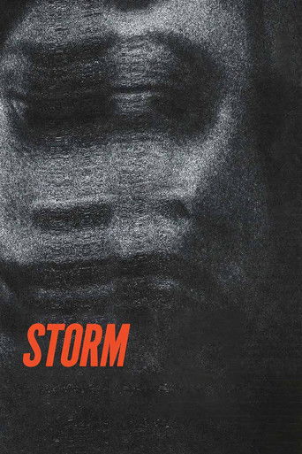 Poster for Storm