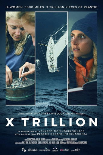 Poster for X Trillion