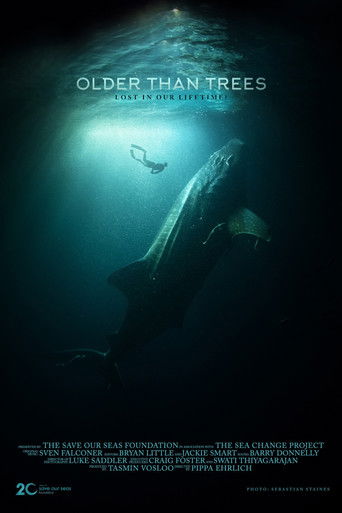 Poster for Older Than Trees