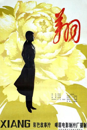 Poster for 翔