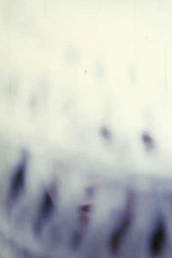 Poster for The Destructive Light Will Come