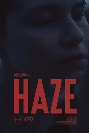 Poster for HAZE