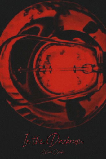 Poster for In the Darkroom
