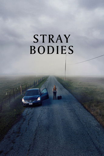 Poster for Stray Bodies