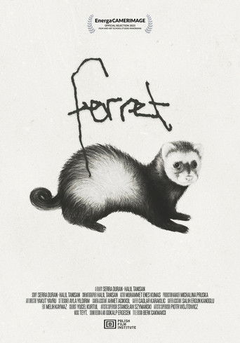 Poster for Ferret