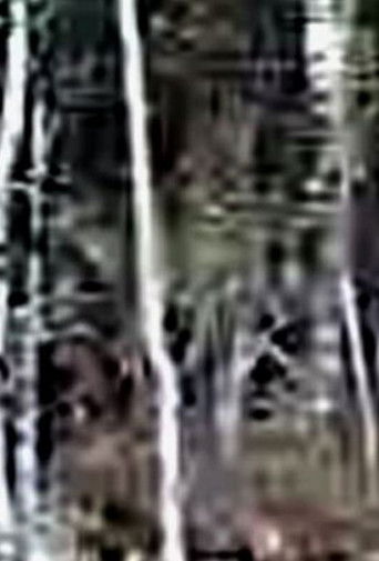Poster for Terroir