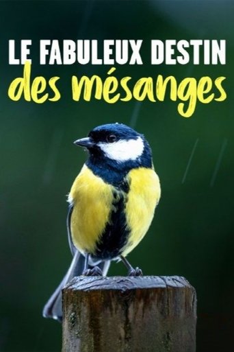 Poster for Kleine Meise ganz groß