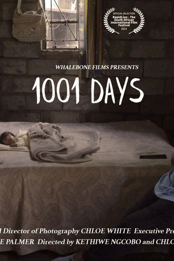 Poster for 1001 Days