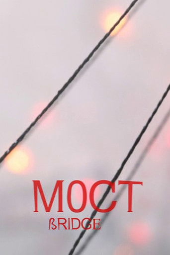 Poster for Bridge