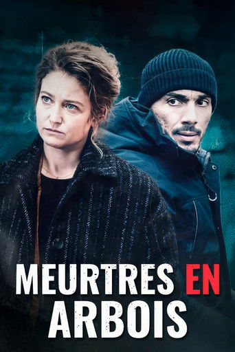 Poster for Meurtres en Arbois