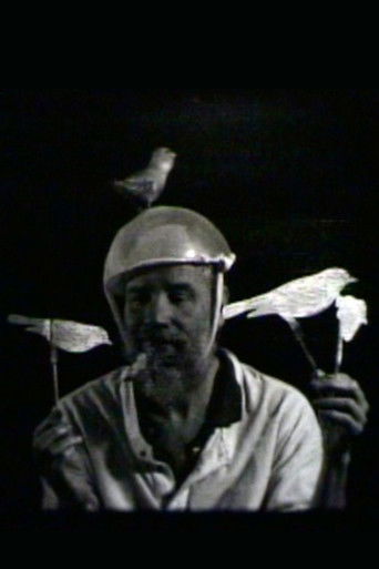 Poster for Bearded Birds
