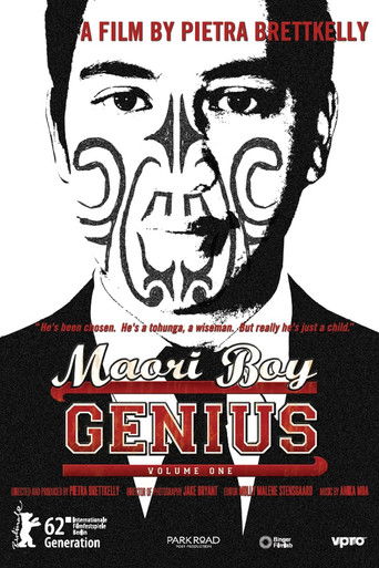 Poster for Maori Boy Genius