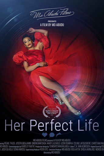 Poster for Her Perfect Life