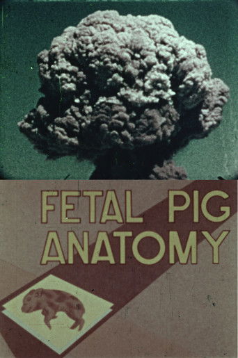 Poster for Fetal Pig Anatomy