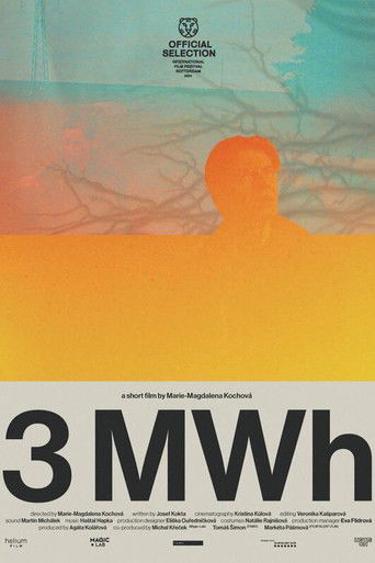Poster for 3 MWh