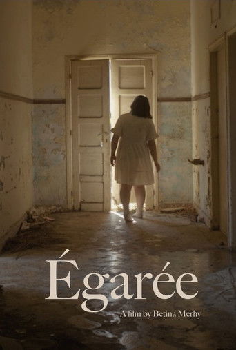 Poster for Égarée