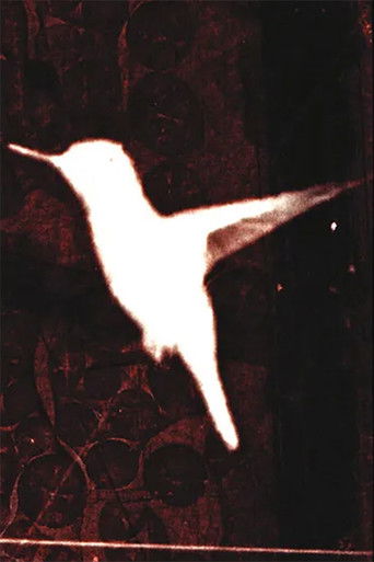 Poster for lessons on flight