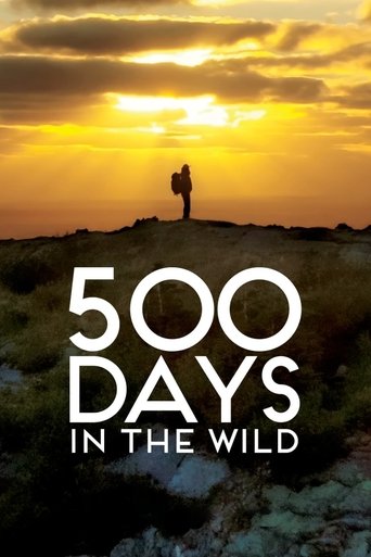 Poster for 500 Days in the Wild