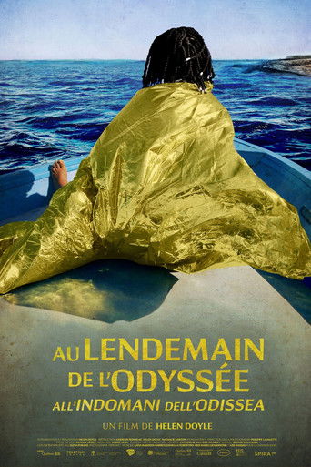 Poster for After the Odyssey