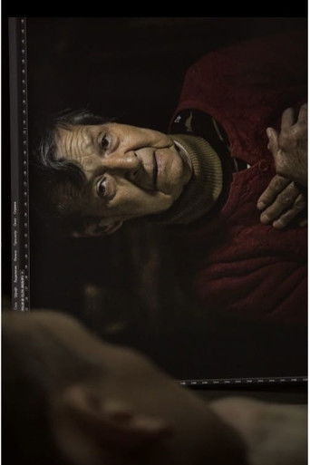 Poster for The Shadows