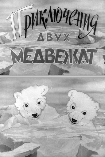 Poster for Adventures of Two Bear Cubs
