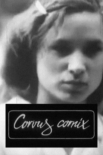 Poster for Corvus Cornix - From Latin as Raven