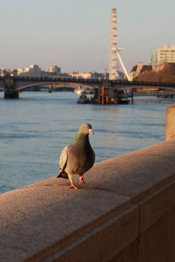 Poster for My travels London through my eyes