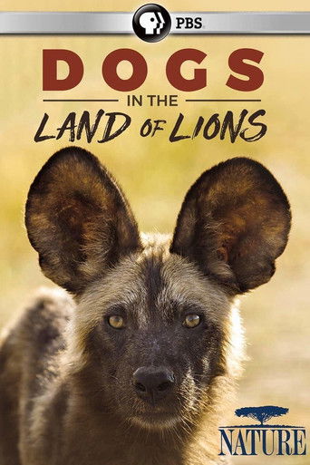 Poster for Dogs in the Land of Lions