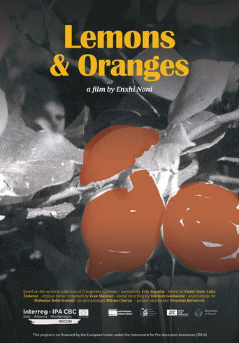 Poster for Lemons & Oranges