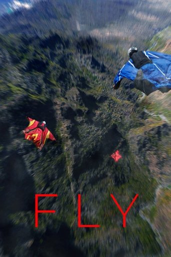 Poster for Fly
