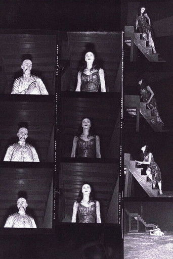 Poster for The Miraculous Mandarin