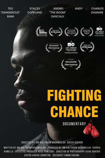 Poster for Fighting Chance