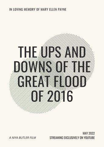 Poster for The Ups and Downs of the Great Flood of 2016