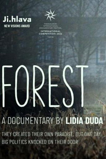 Poster for Forest
