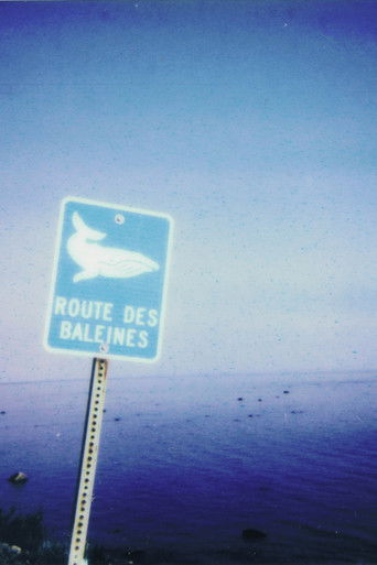 Poster for La route des baleines