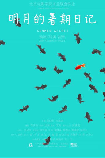 Poster for Summer Secret