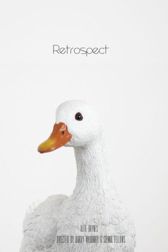Poster for Retrospect
