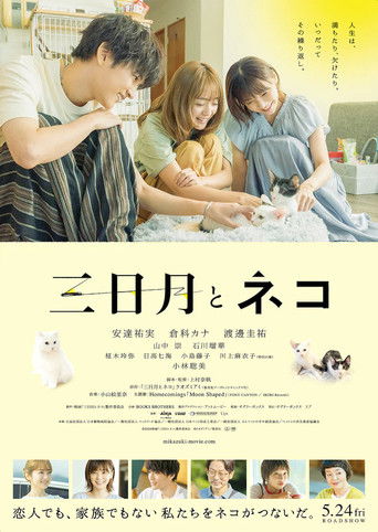 Poster for Crescent Moon and Cats