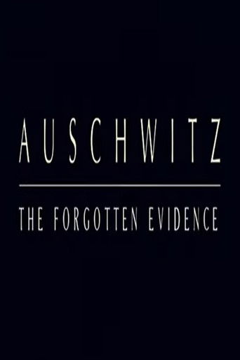 Poster for Auschwitz: The Forgotten Evidence