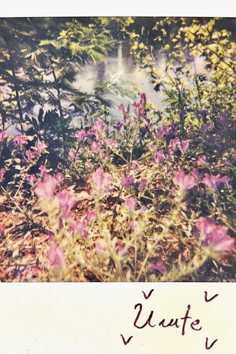 Poster for Urute vv