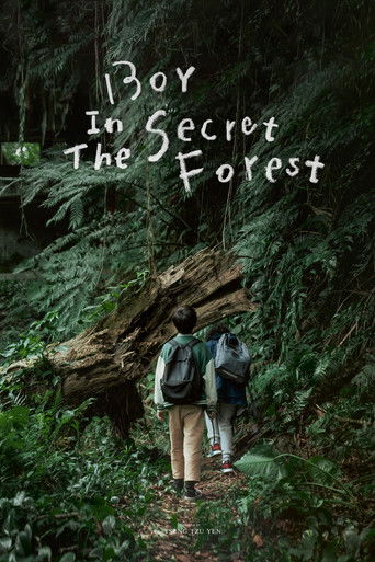 Poster for Boy in the Secret Forest