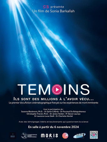 Poster for Témoins