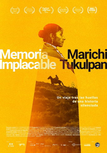 Poster for Relentless Memory