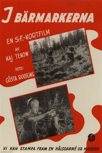 Poster for In the Berry Fields