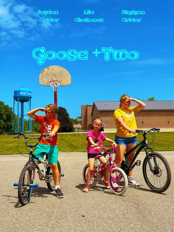 Poster for Goose + 2